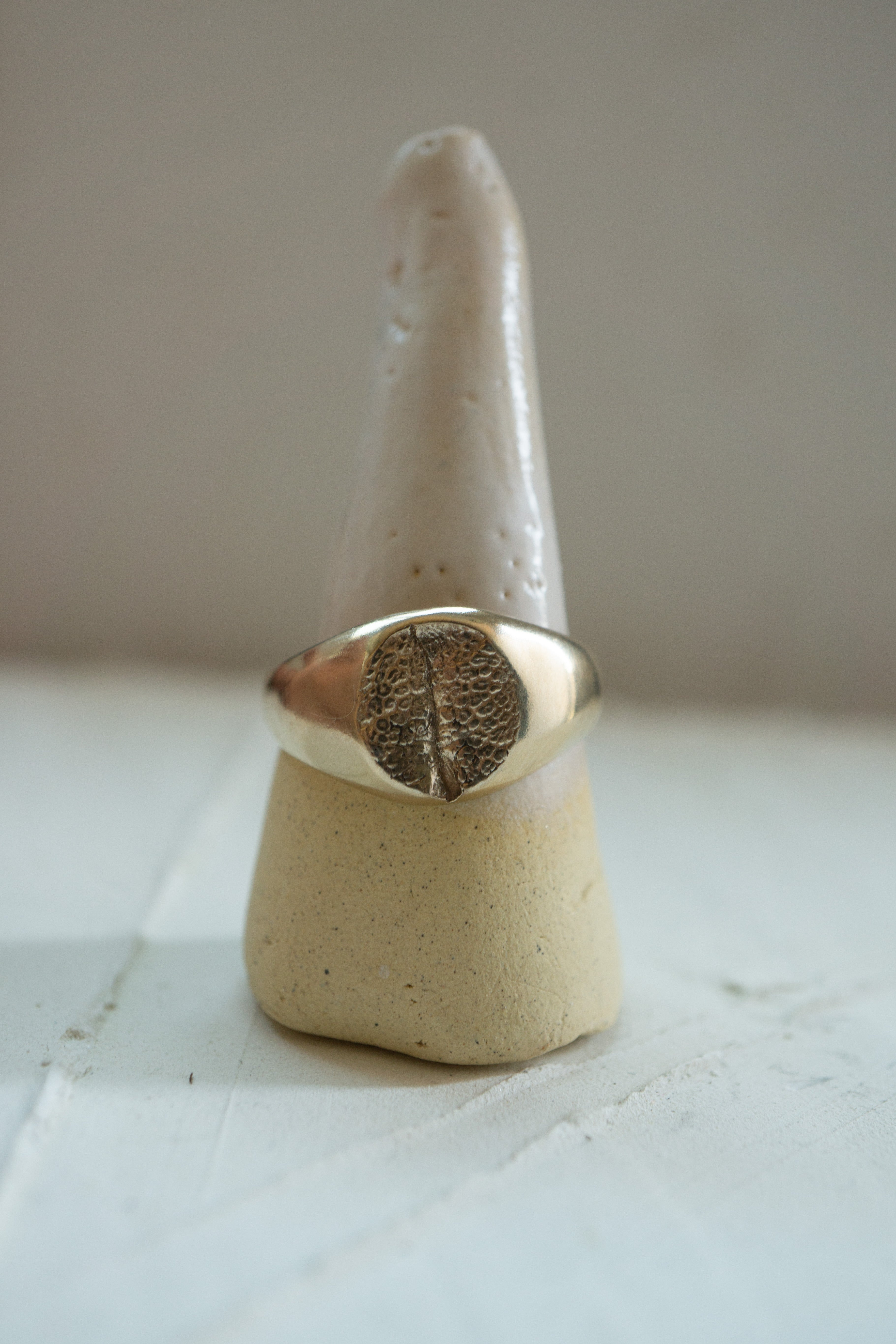 Pet print signet ring