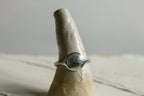 Fingerprint freeform ring